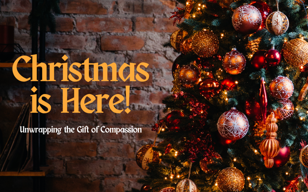 Unwrapping the Gift of Compassion: Spreading Kindness during Christmas